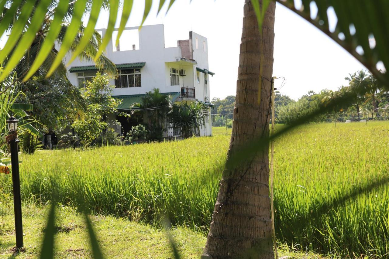 Manel Guest House Polonnaruwa Buitenkant foto